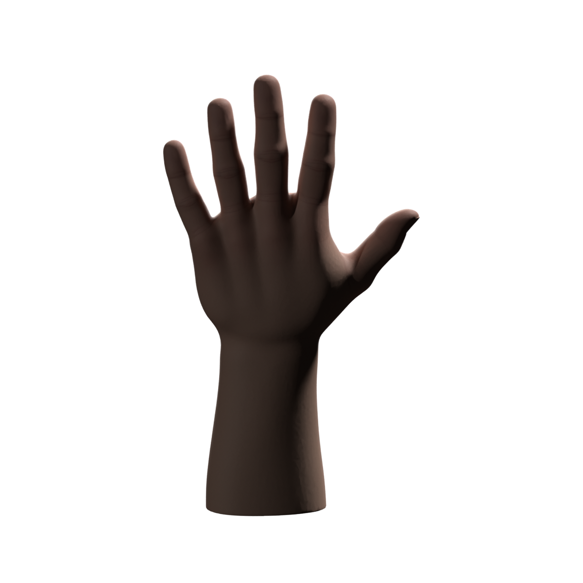 Actual Blender render of the generated hand from the back