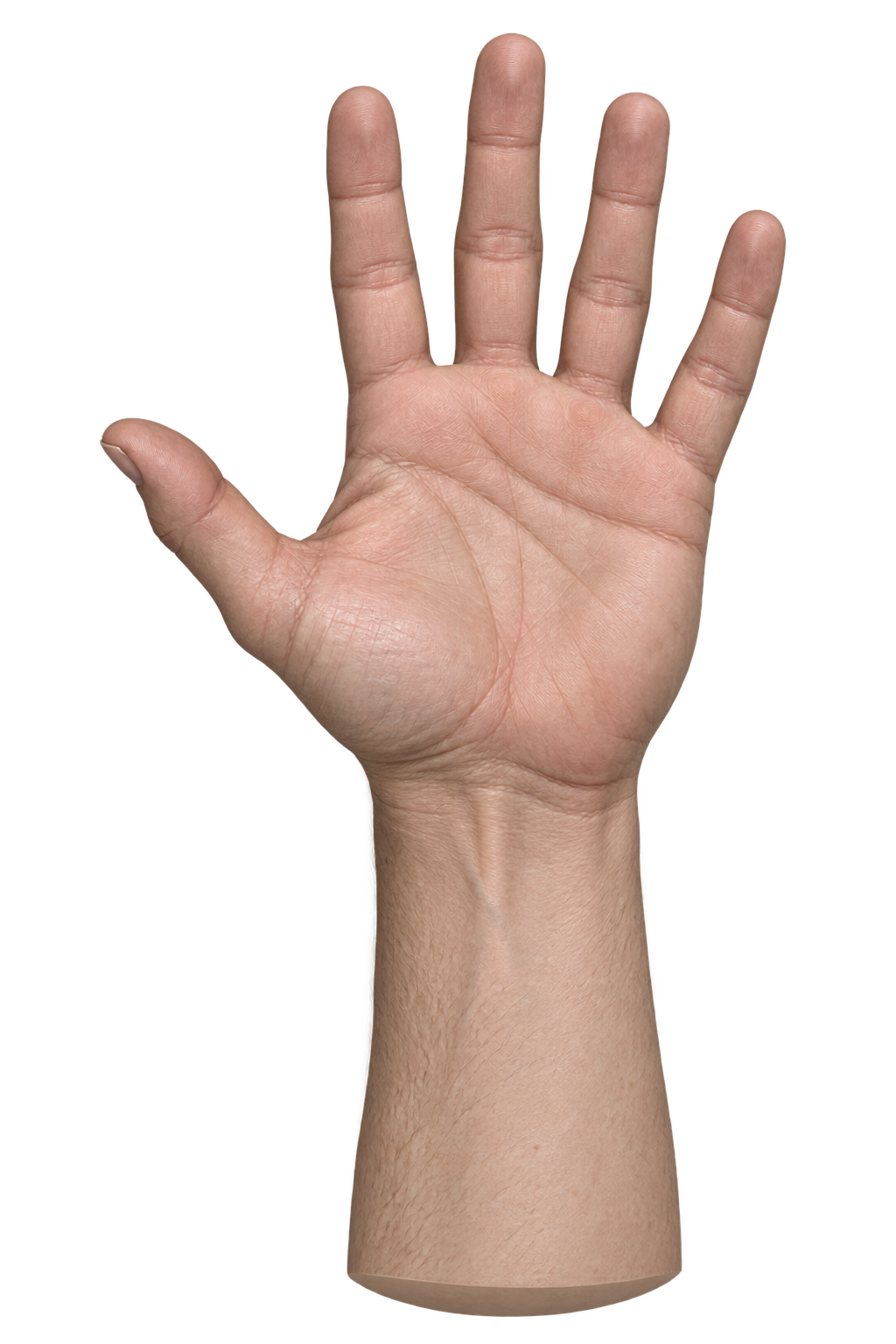 Single-hand image-generation reference submitted to Meshy