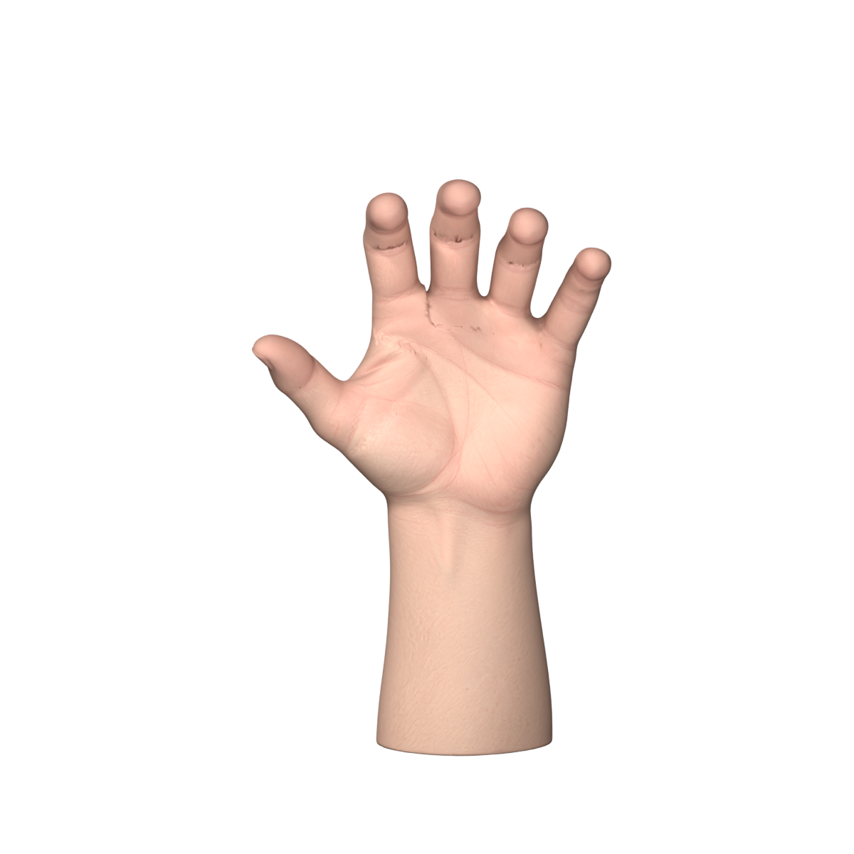 Moderate finger-curl probe in Blender, after welding; joint creases remain under review