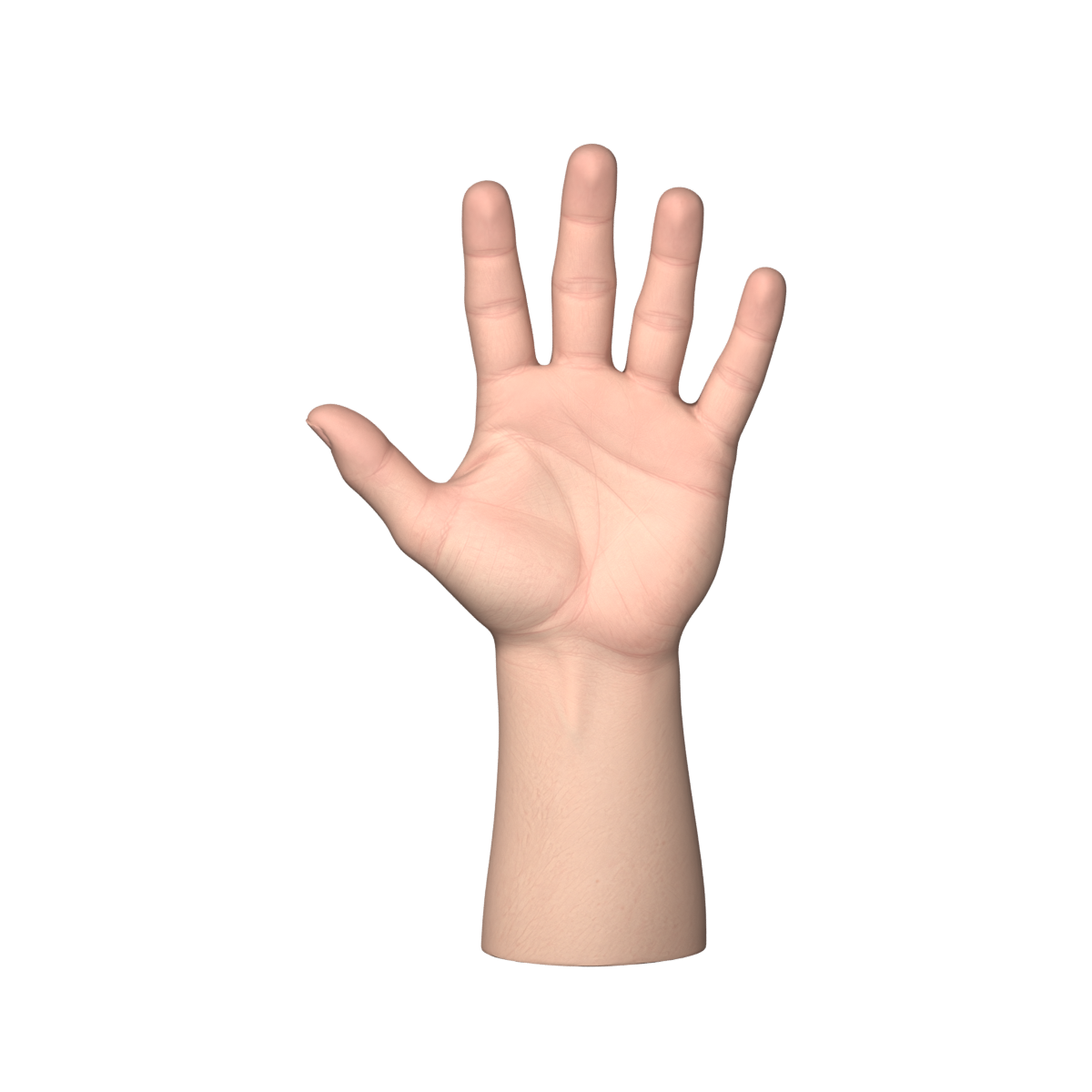 Actual 1200-pixel Blender render of the new Meshy palm before posing
