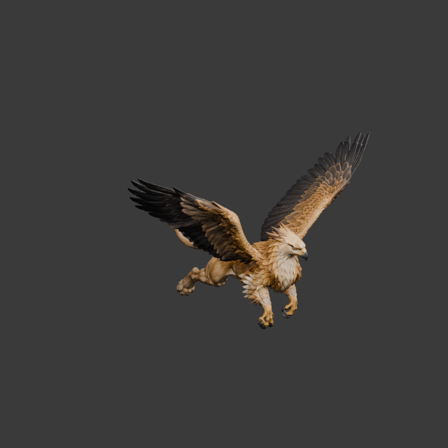 Front-attack candidate after the binding correction, actual 900 × 900 Blender still