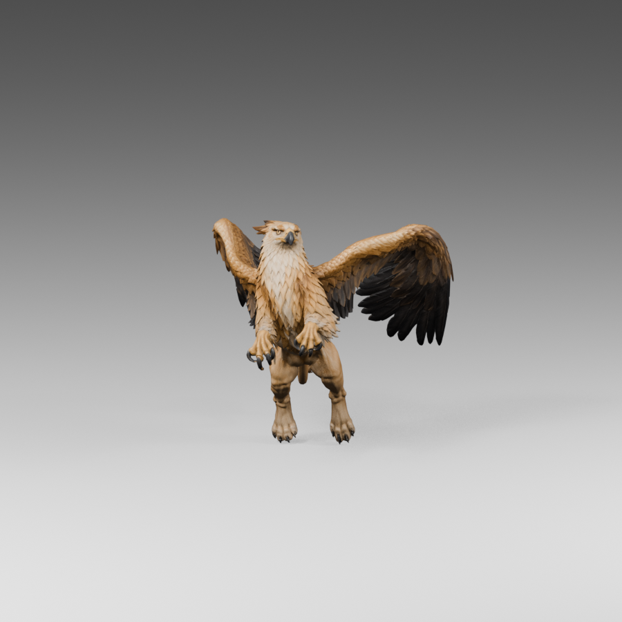 Front view of the same study: the asymmetry remains visible