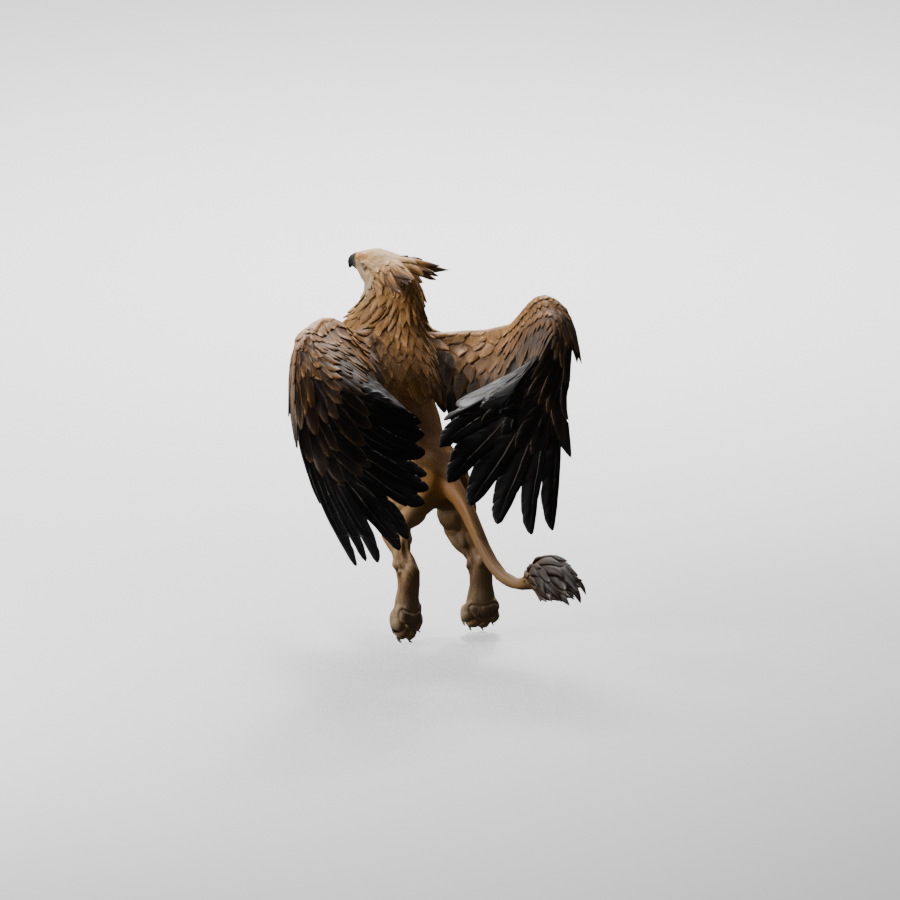 Rear view; feather overlap and folded-wing width remain under review