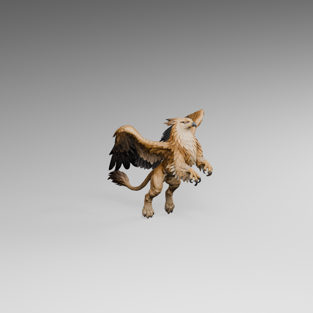 Early defence pose on the same rig