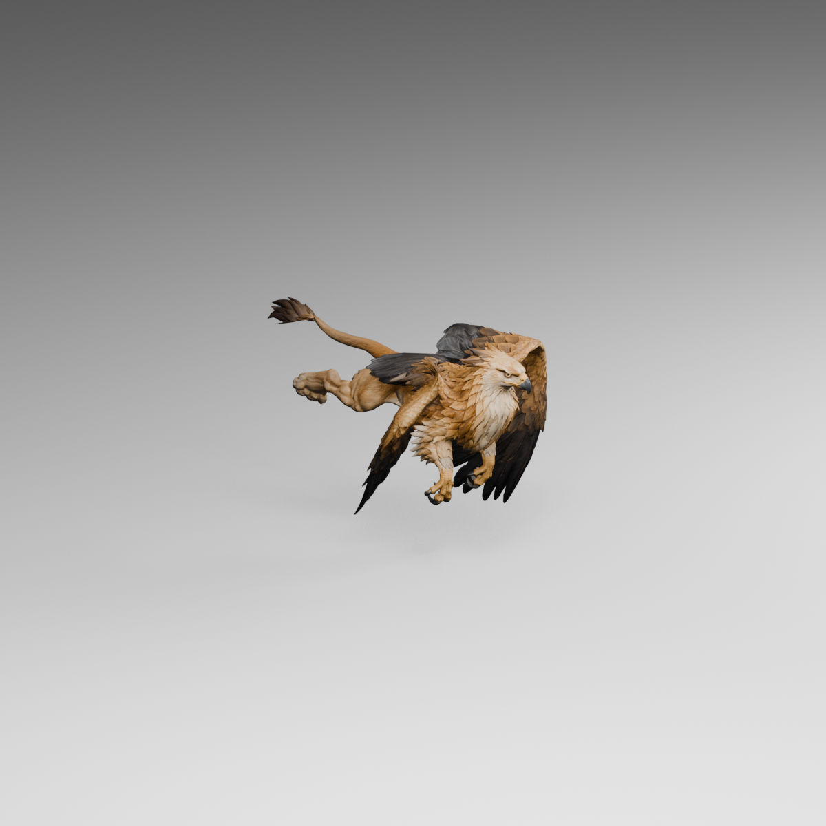 Flight downstroke; the fully unfolded pose is preserved