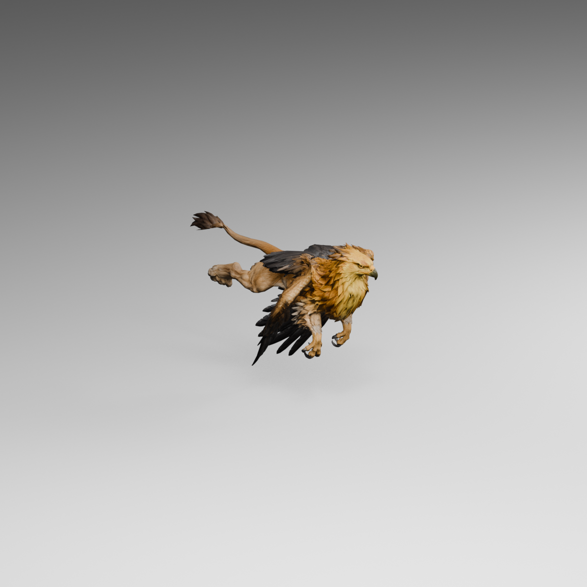 Current flight downstroke; forward claw reach still needs correction