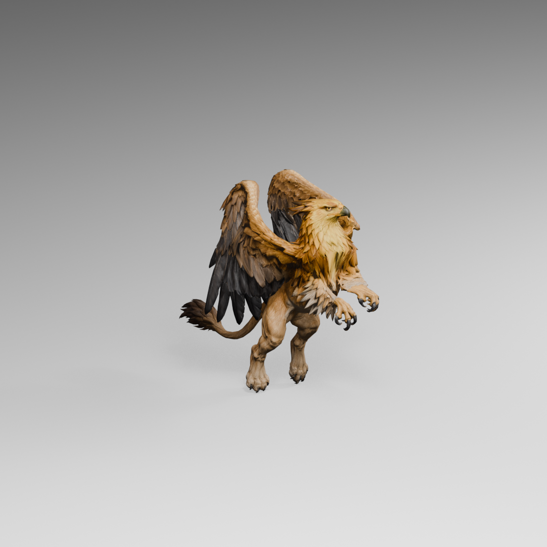 Unadopted forearm-narrowing trial, an actual 1100 × 1100 Blender render; the outer feather fan remains
