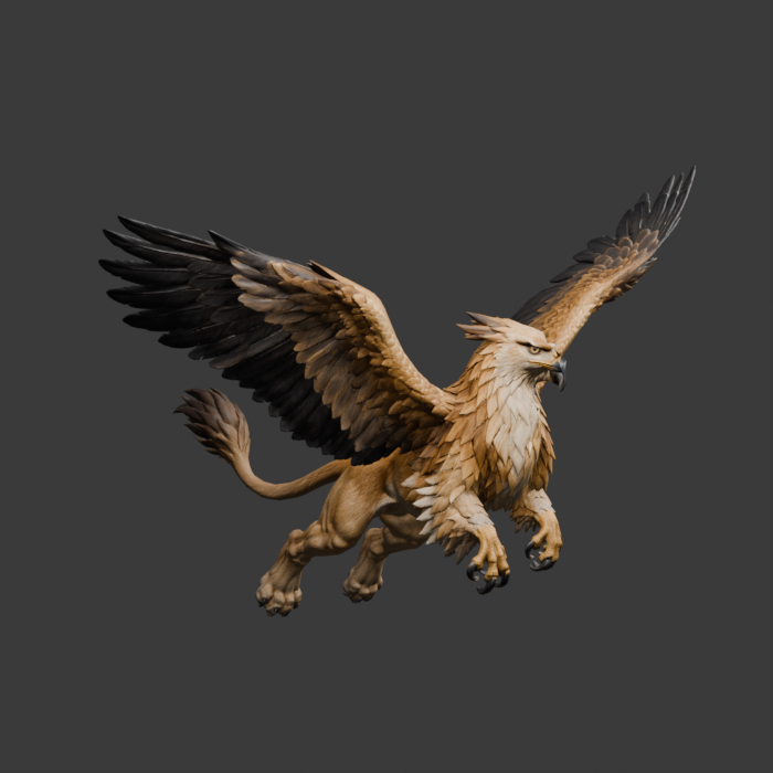 Flight-specific Griffin small wing cycle, oblique review