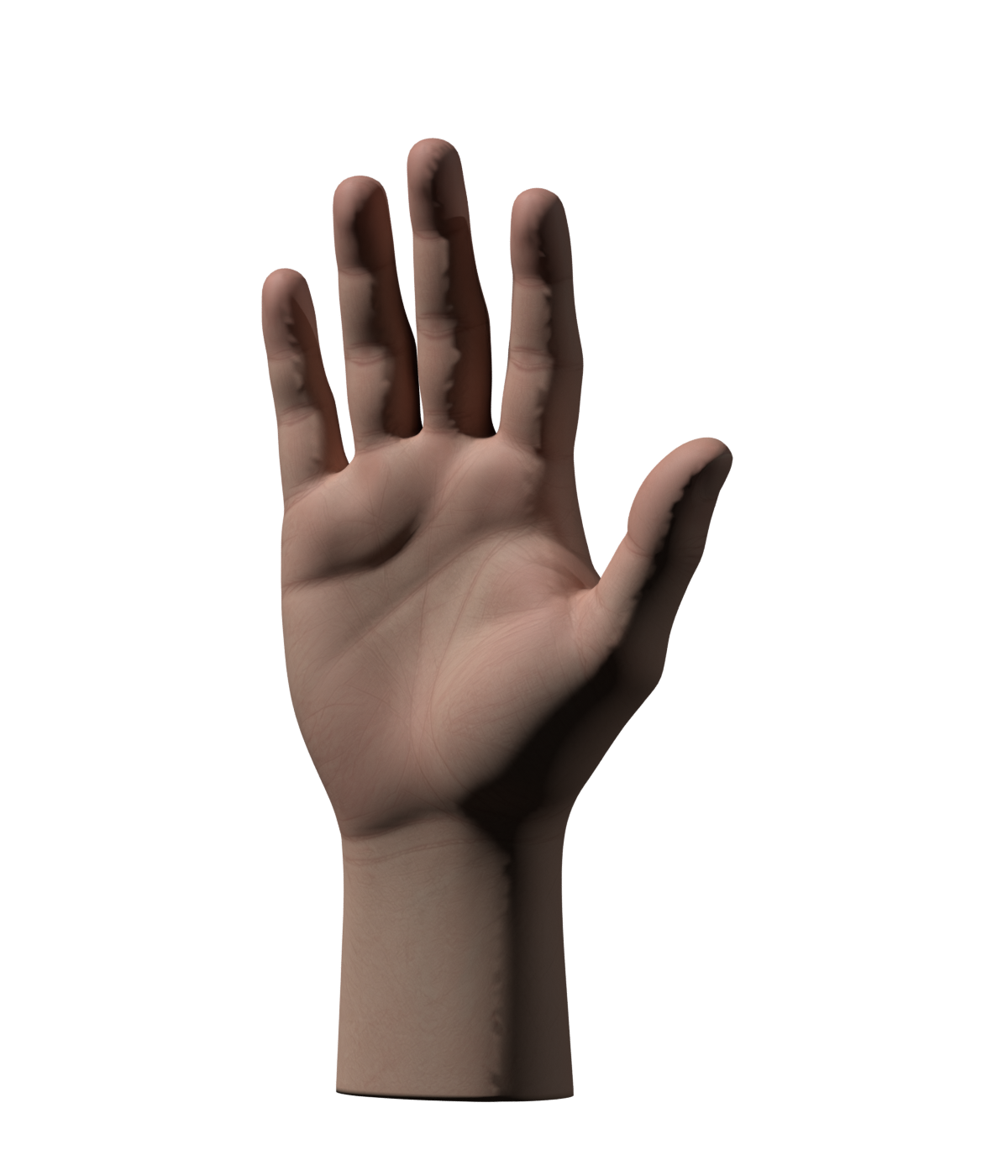 1200×1400 Blender render of the new Meshy hand; unrigged candidate