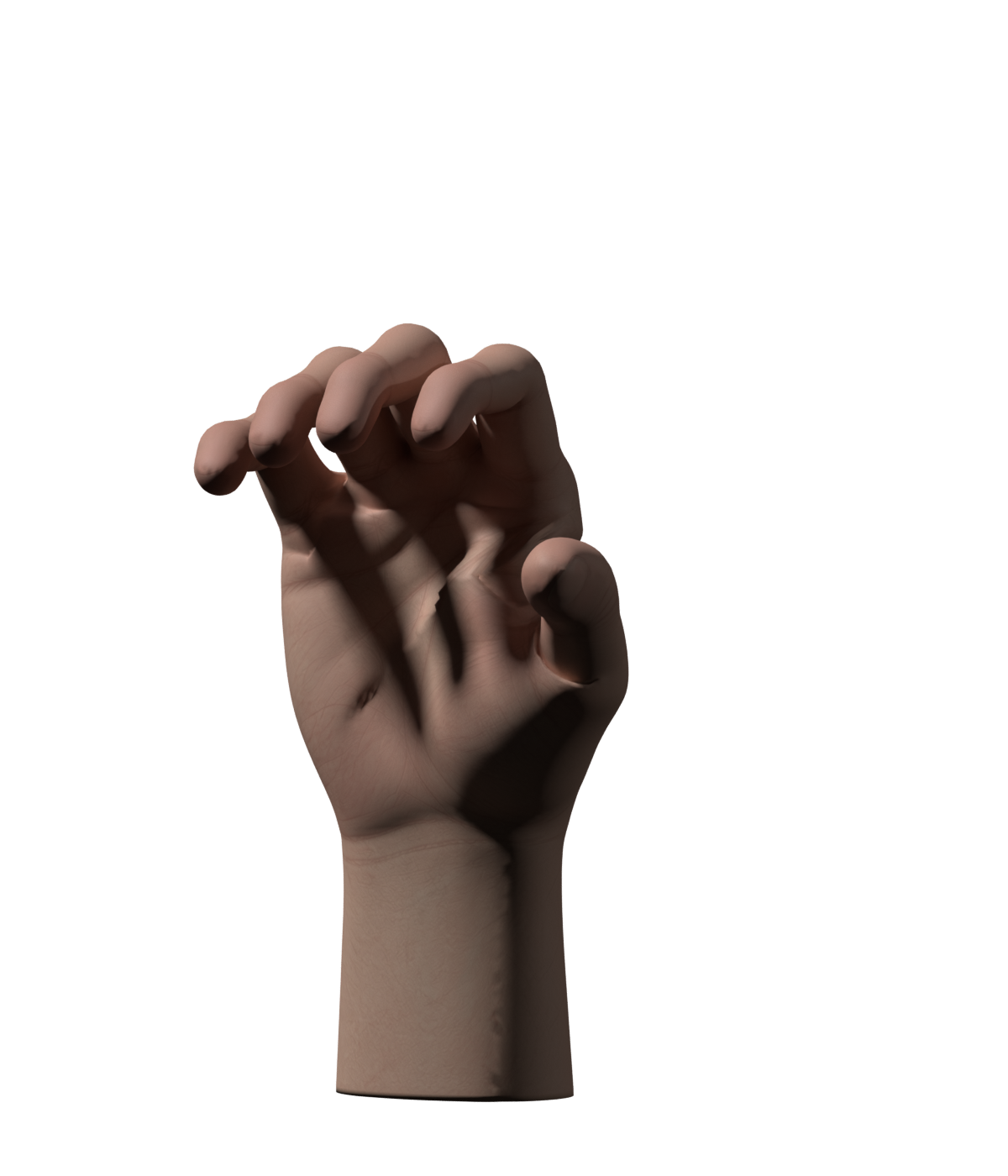 Blender curl probe for the new hand rig; palm folds and contact still under review