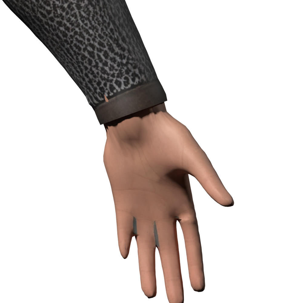 Candidate 205 wrist close-up; posed continuity remains under review
