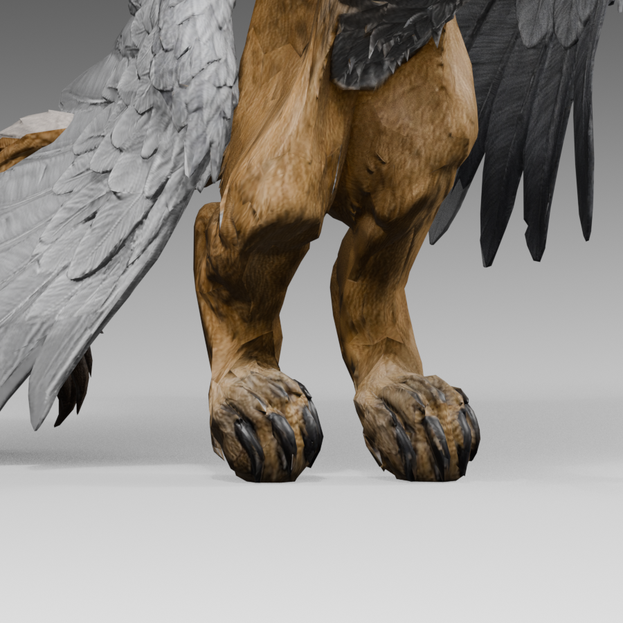 Blender close-up from the sole-correction stage; reversible shape key, with claw shape still under review