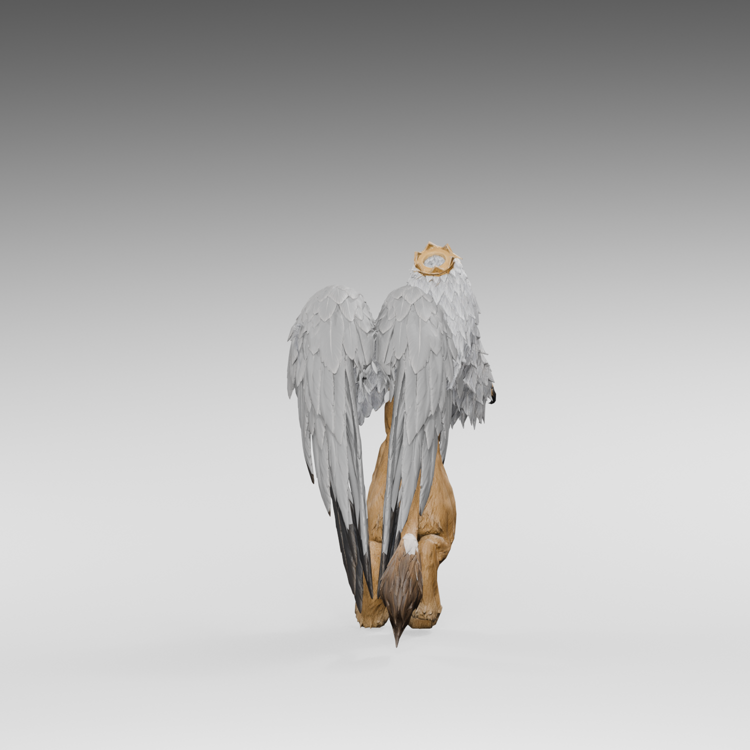 Revised folded view, actual Blender still; the patch returns with the donor surface