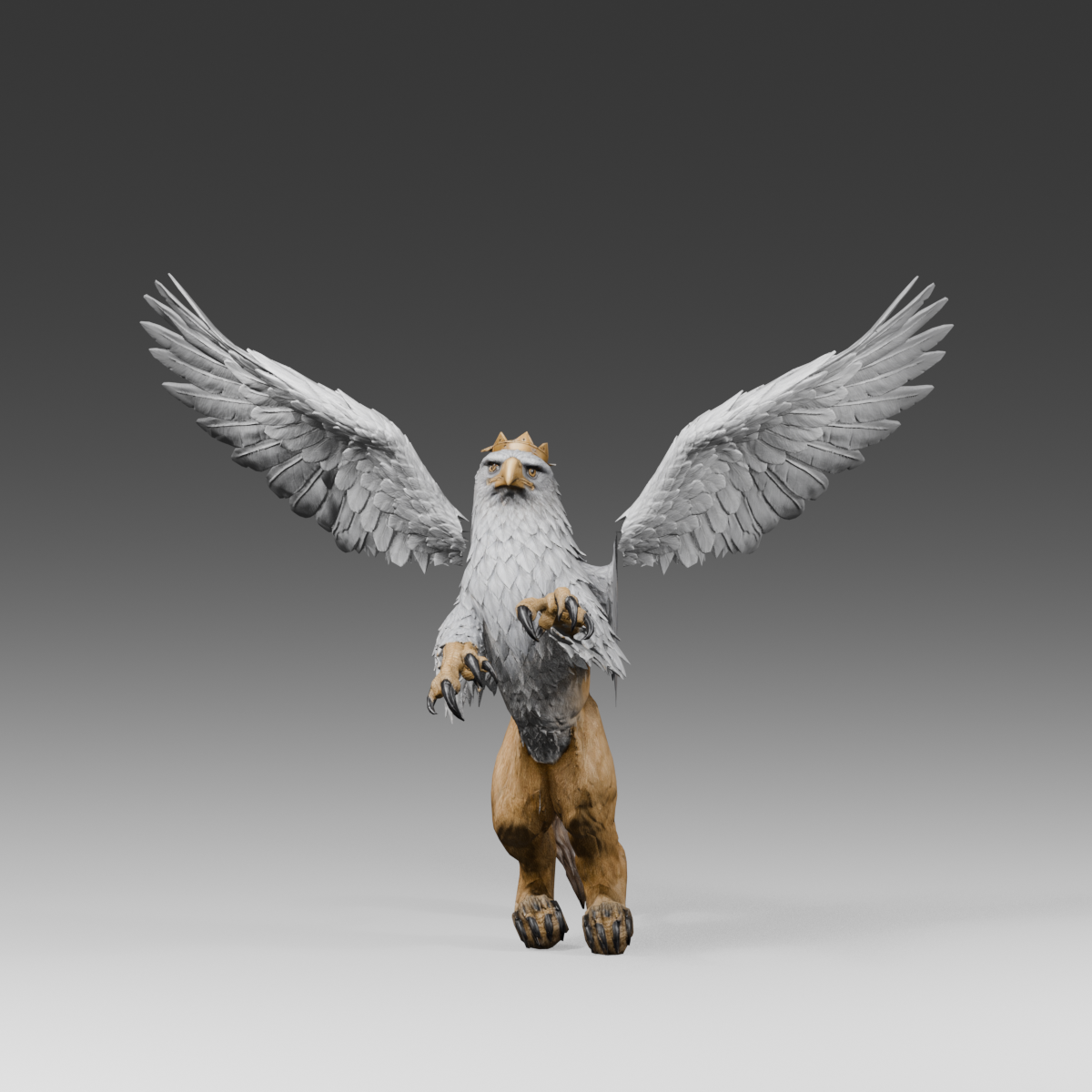 Rejected lateral-only compression with thin frontal edges, actual Blender render