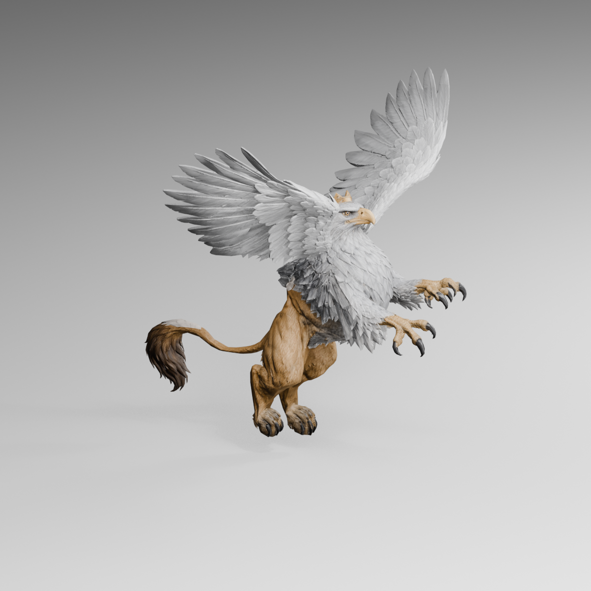 Earlier wing lift, frame three of the revised draft; actual 1200 × 1200 Blender render