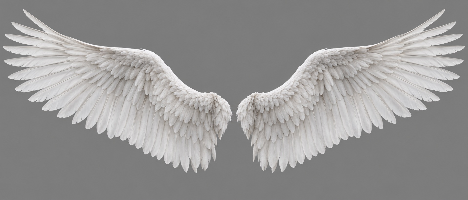 Thin-feather concept from built-in image_gen; this is the Meshy input, not a finished game asset