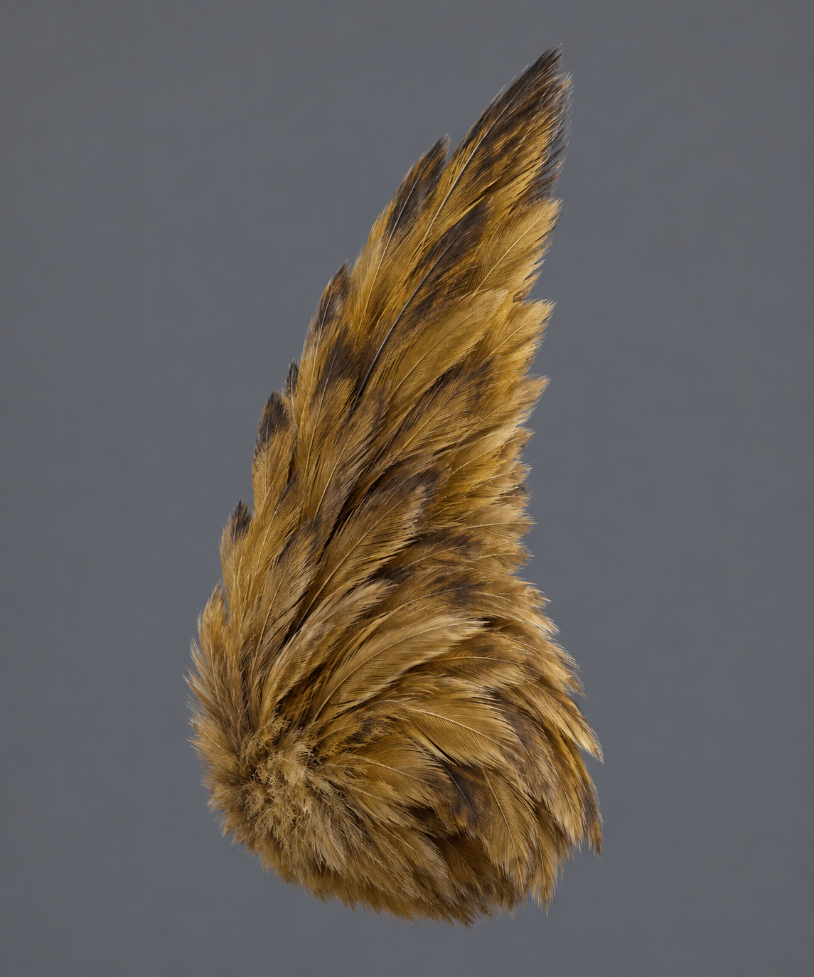 Isolated ear-tuft concept from image_gen for Meshy modelling; not a 3D render