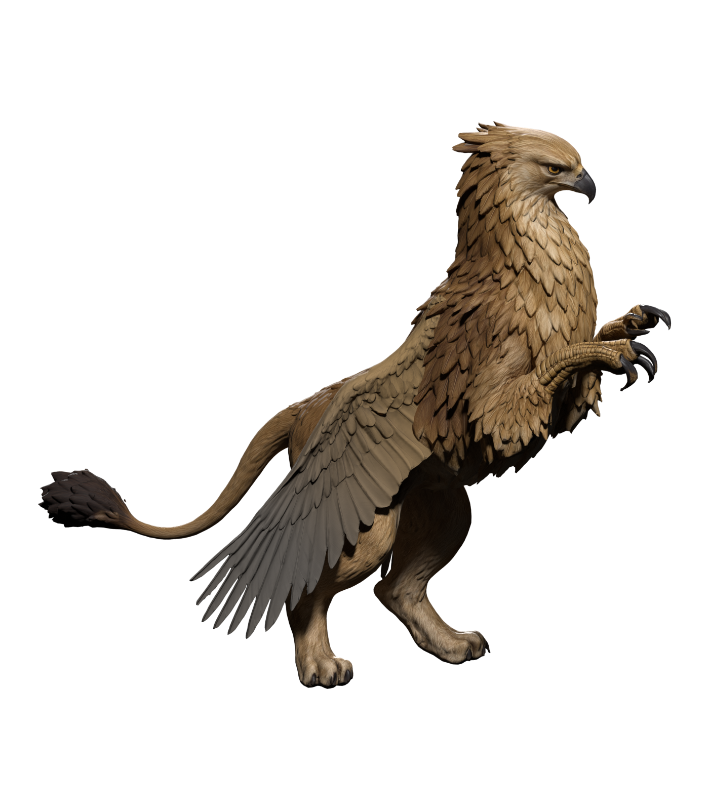 1400 × 1600 Blender still of the rigged Griffin assembly trial, with attached wings; the original upright ear tufts are still missing and the folded-wing silhouette is unfinished