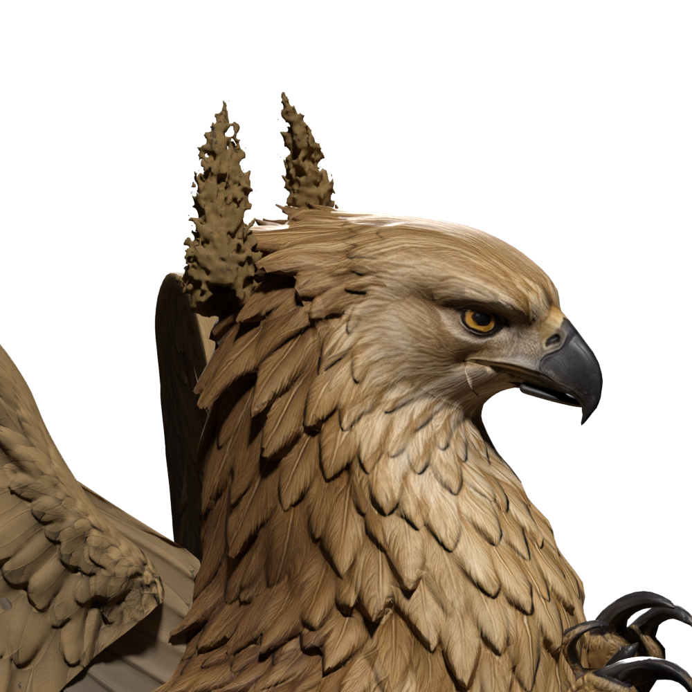 Coarse reconstruction produces lumps rather than feathers; rejected