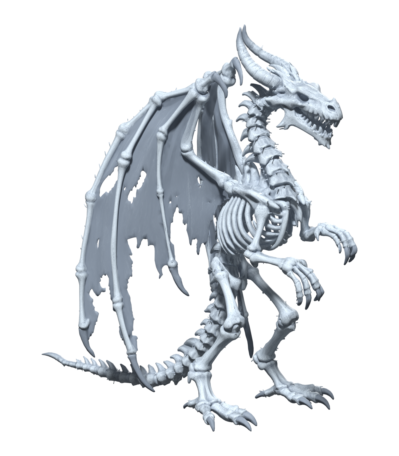 Ghost Dragon, Blender still