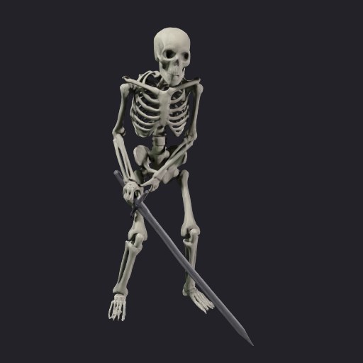 The skeleton as a 3D mesh